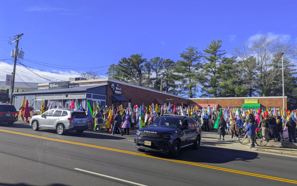 Cone Parade - Richmond, VA - Walking